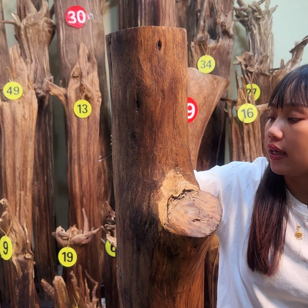 沉香沉香碎屑沉香原材料➕底座