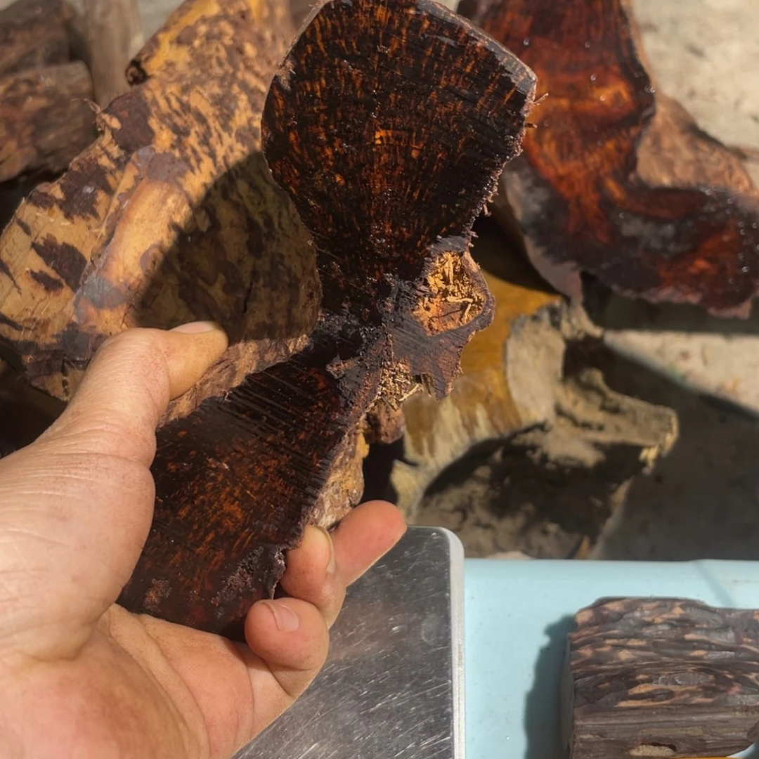 创***野定制海南红降1.5单圈不退不换