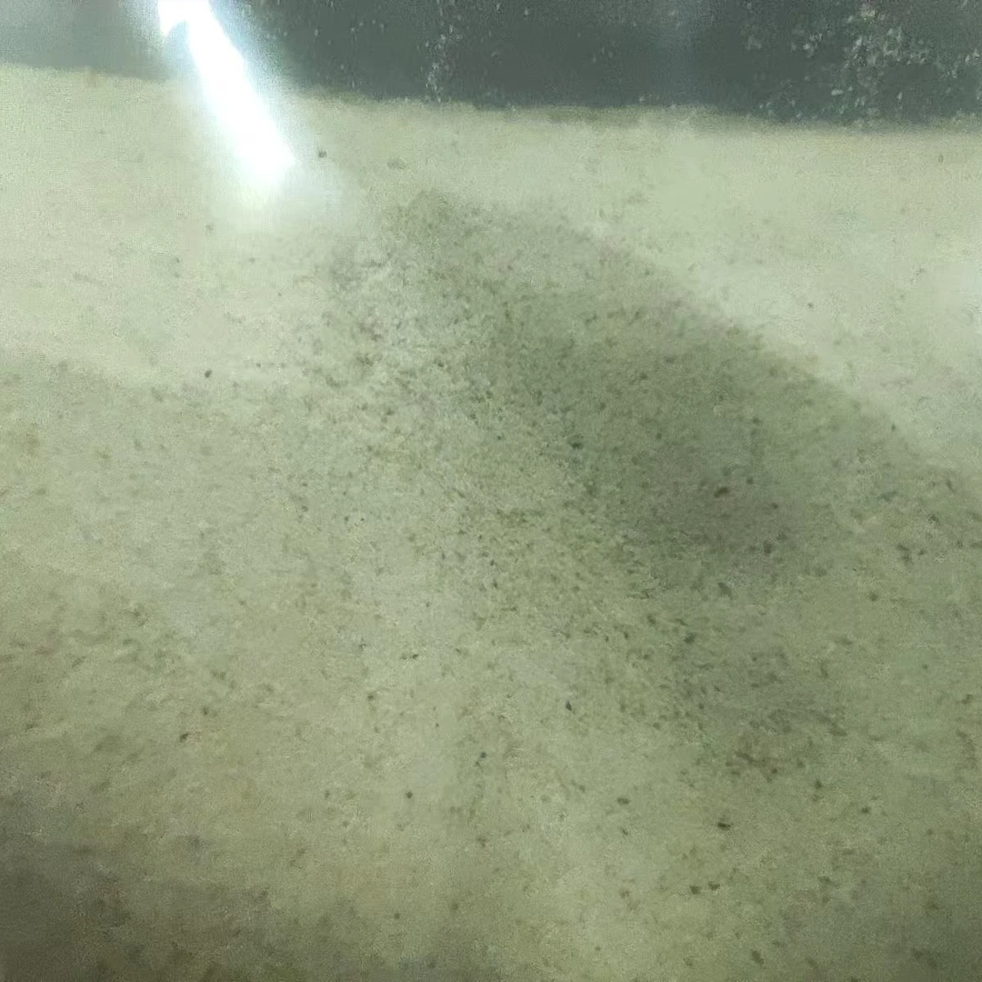 高山凉山昭觉苦荞粉 包邮