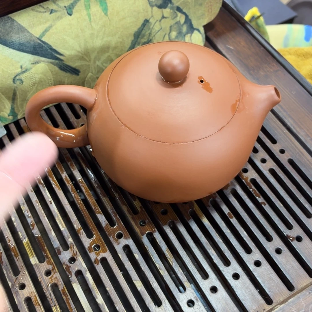 紫砂茶壶壶哈哈哈哈哈哈哈