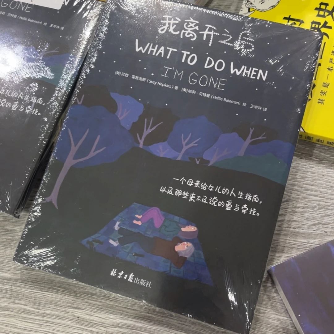 我离开之后精装一个