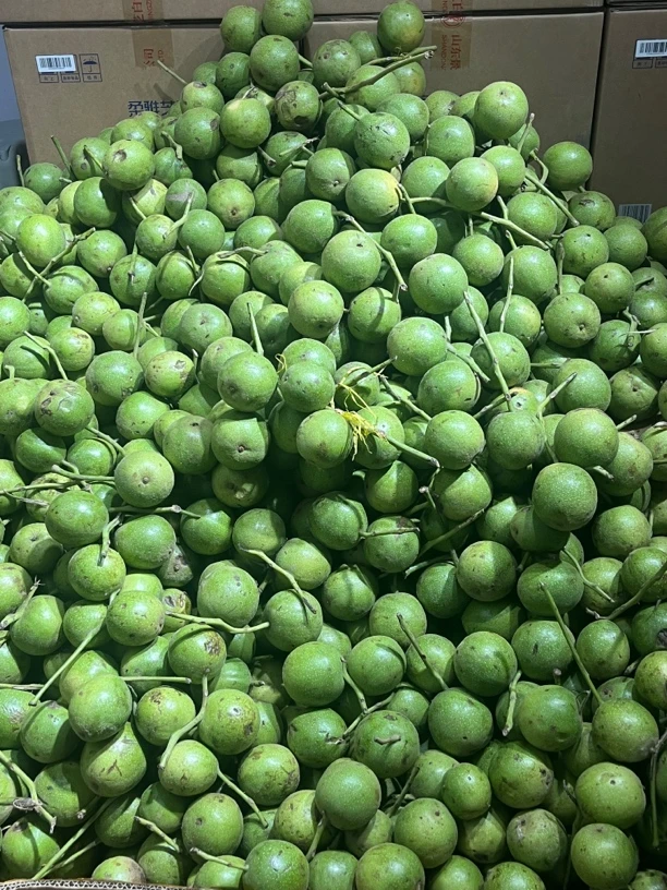 盘山公子帽青皮核桃把件5颗小尺30以下