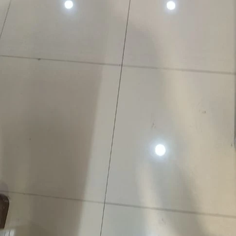 紫***8书法世国世国世国世国