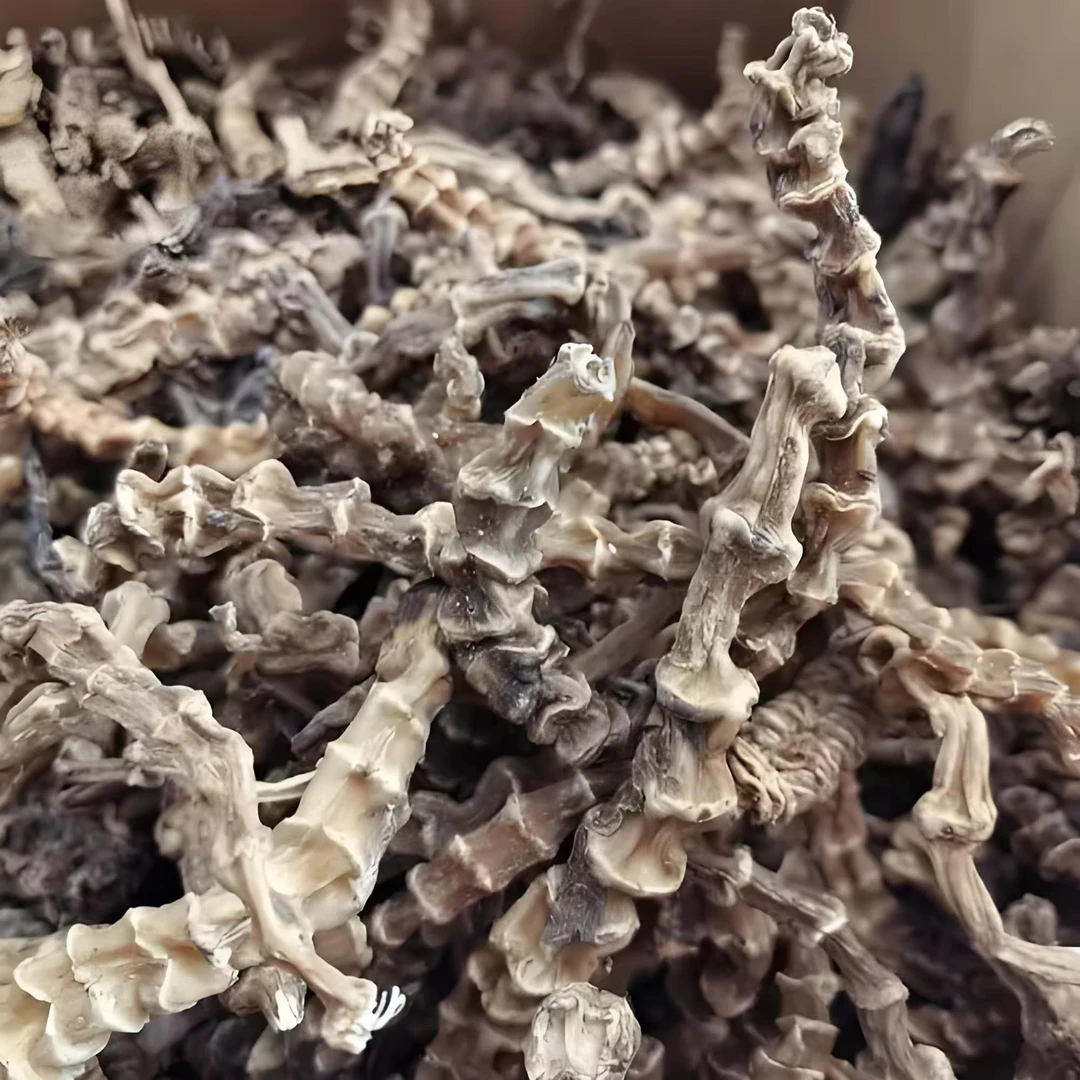 农家 高山 虫草参