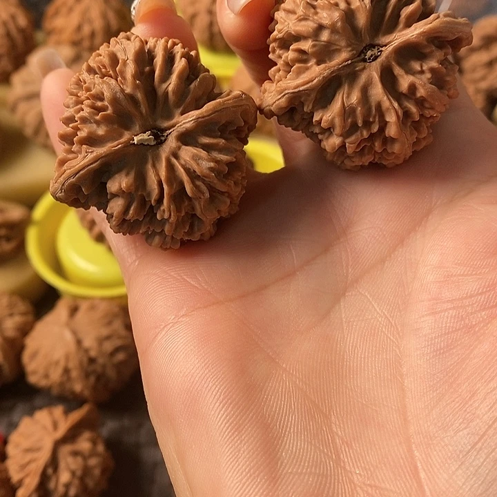 ?****?41满天星无修无修无修无修