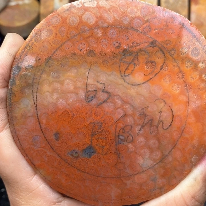 硅化珊瑚（珊瑚玉）手镯未镶嵌悠*