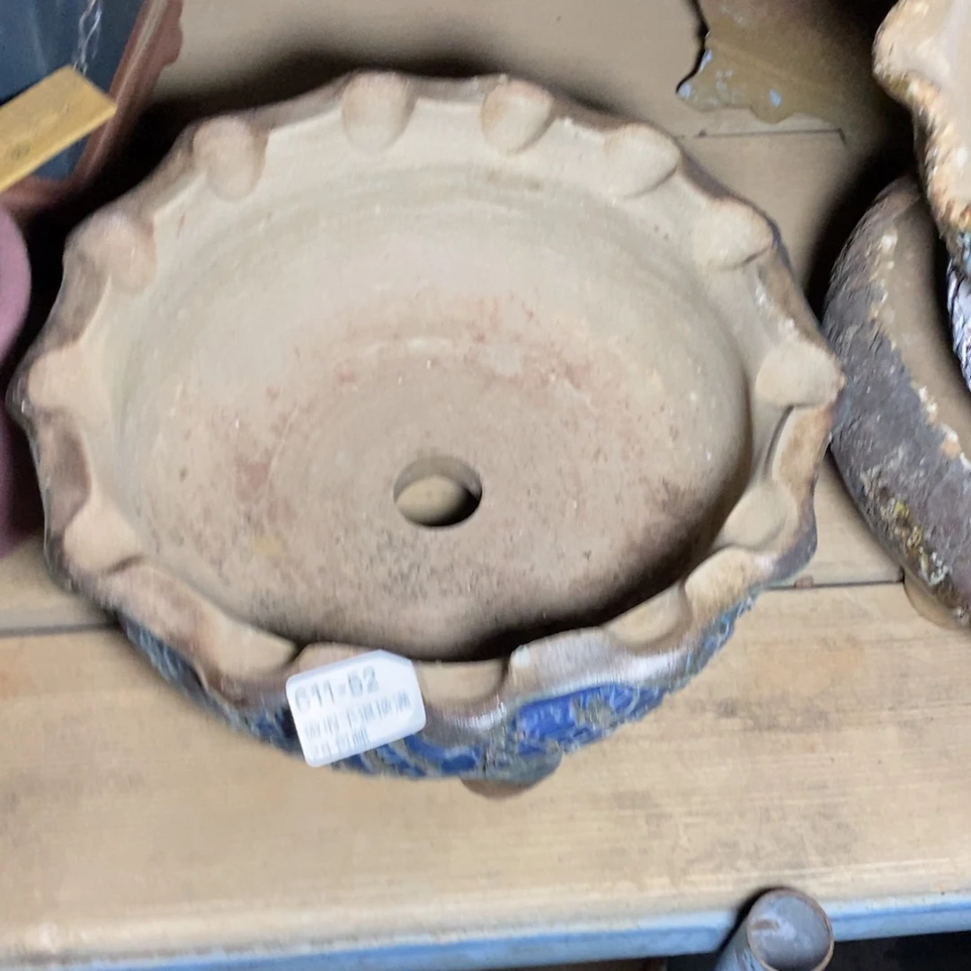 c***y52号花盆福利啦啦啦啦