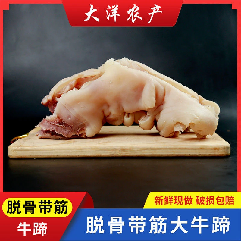 国产原味新鲜黄牛熟牛蹄去大骨现煮现发鲜嫩营养可凉拌红烧