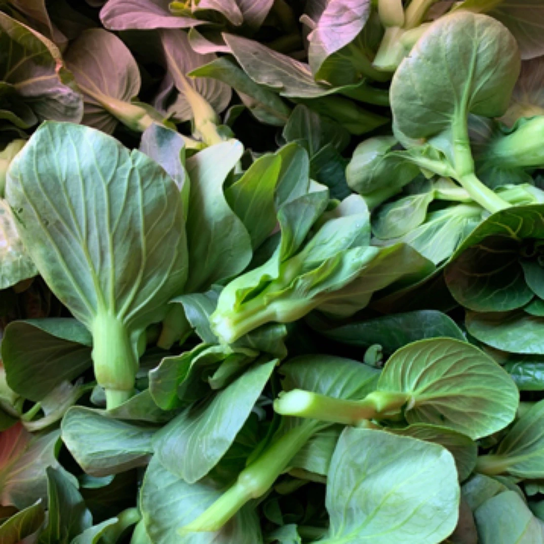 顺丰包邮新鲜霜冻青菜苔 青菜头青菜心