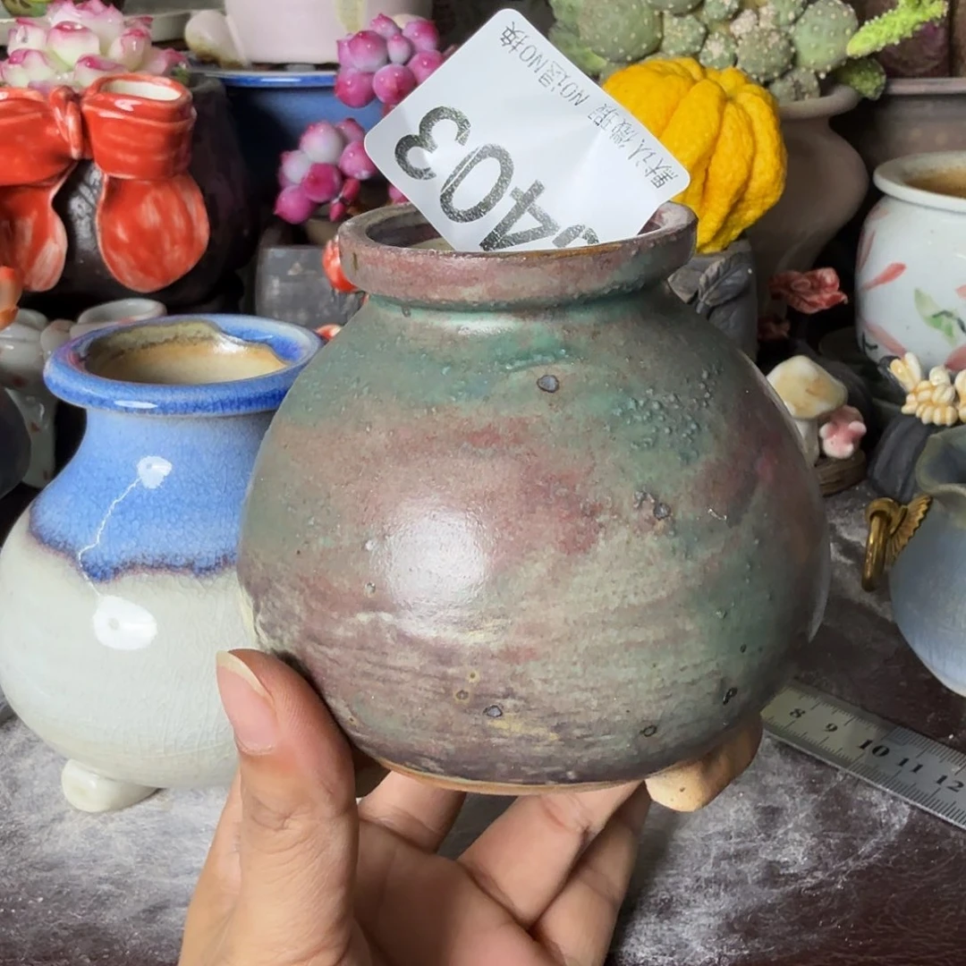 重庆小燕子欢迎大家403