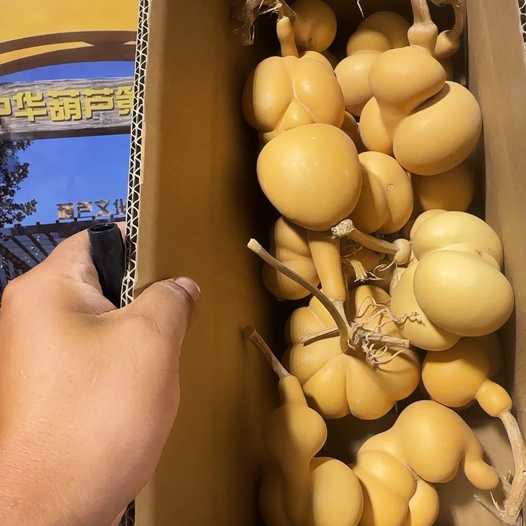 葫芦处理葫芦画皮葫芦