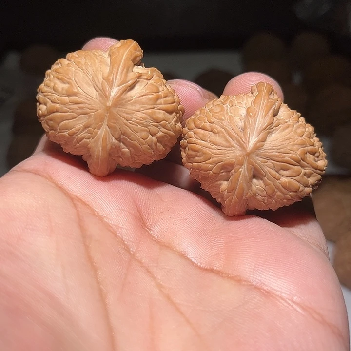 木38全品泥鳅背