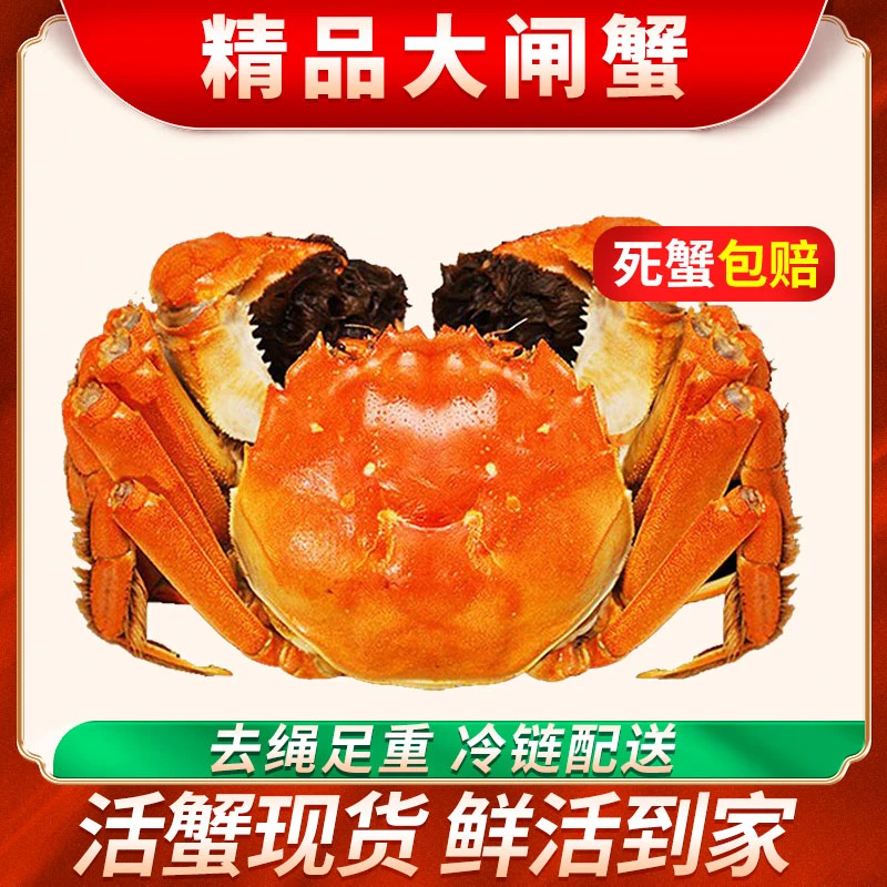 【活蟹】精品苏州大闸蟹公蟹3.3-3.6两/只 母蟹2.3-2.6两/只礼盒装