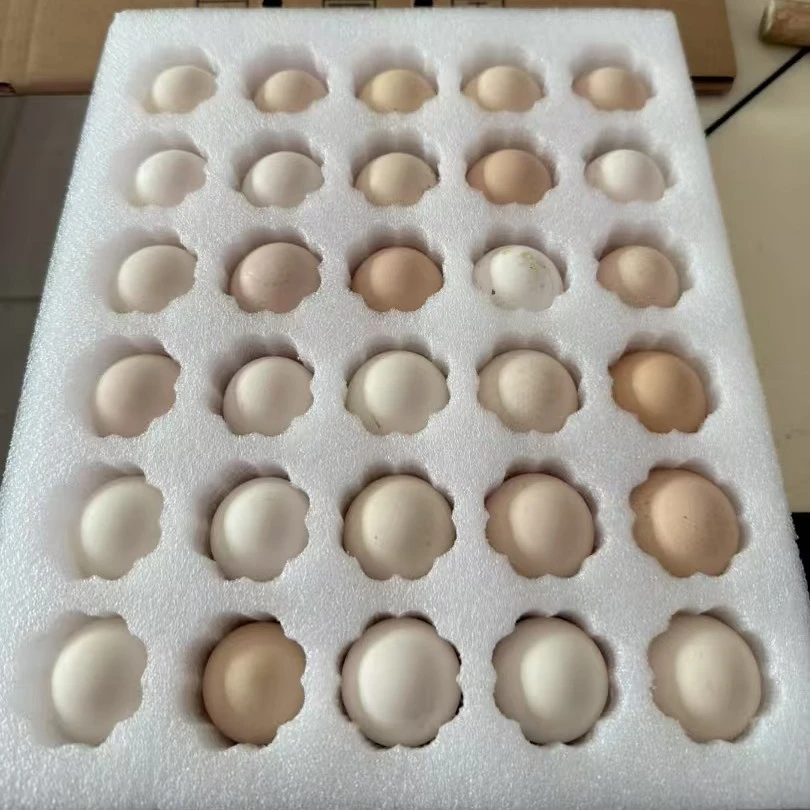 农家散养土鸡蛋新鲜现捡现发坏了包赔无抗无激素30枚