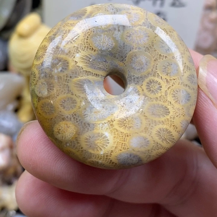 硅化珊瑚（珊瑚玉）未镶嵌颈饰