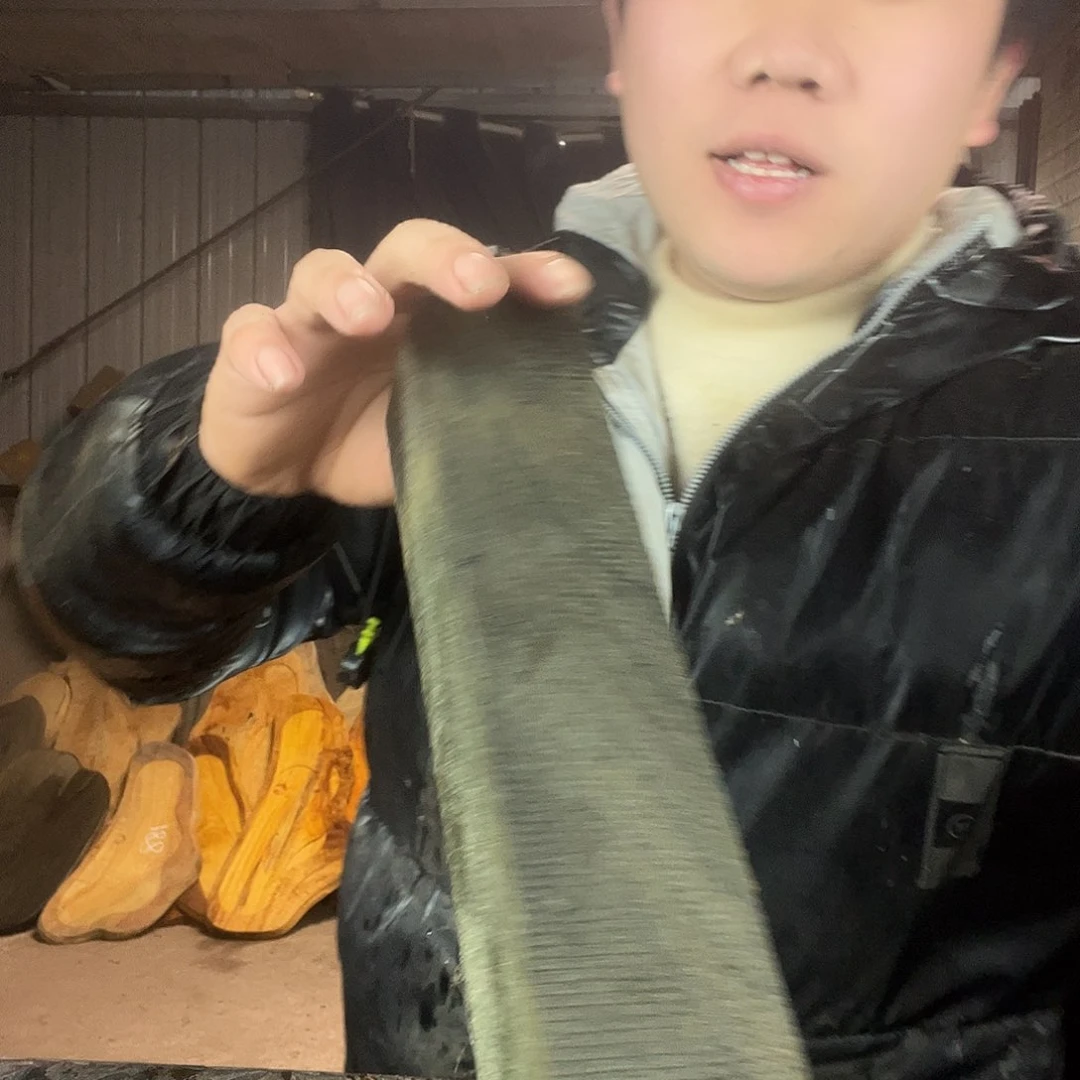 楠木金丝楠木金丝楠木