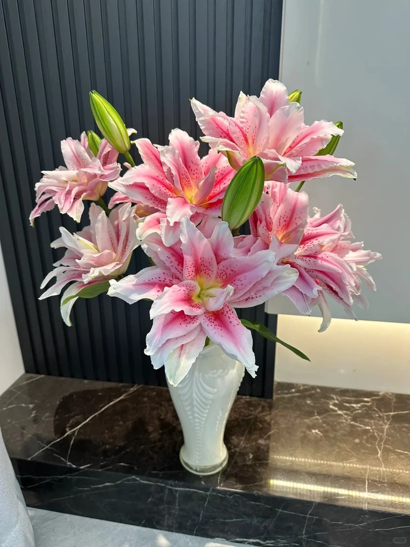 【太平盛世重瓣香水百合】鲜花  发货后不支持仅退款 云南基地直发