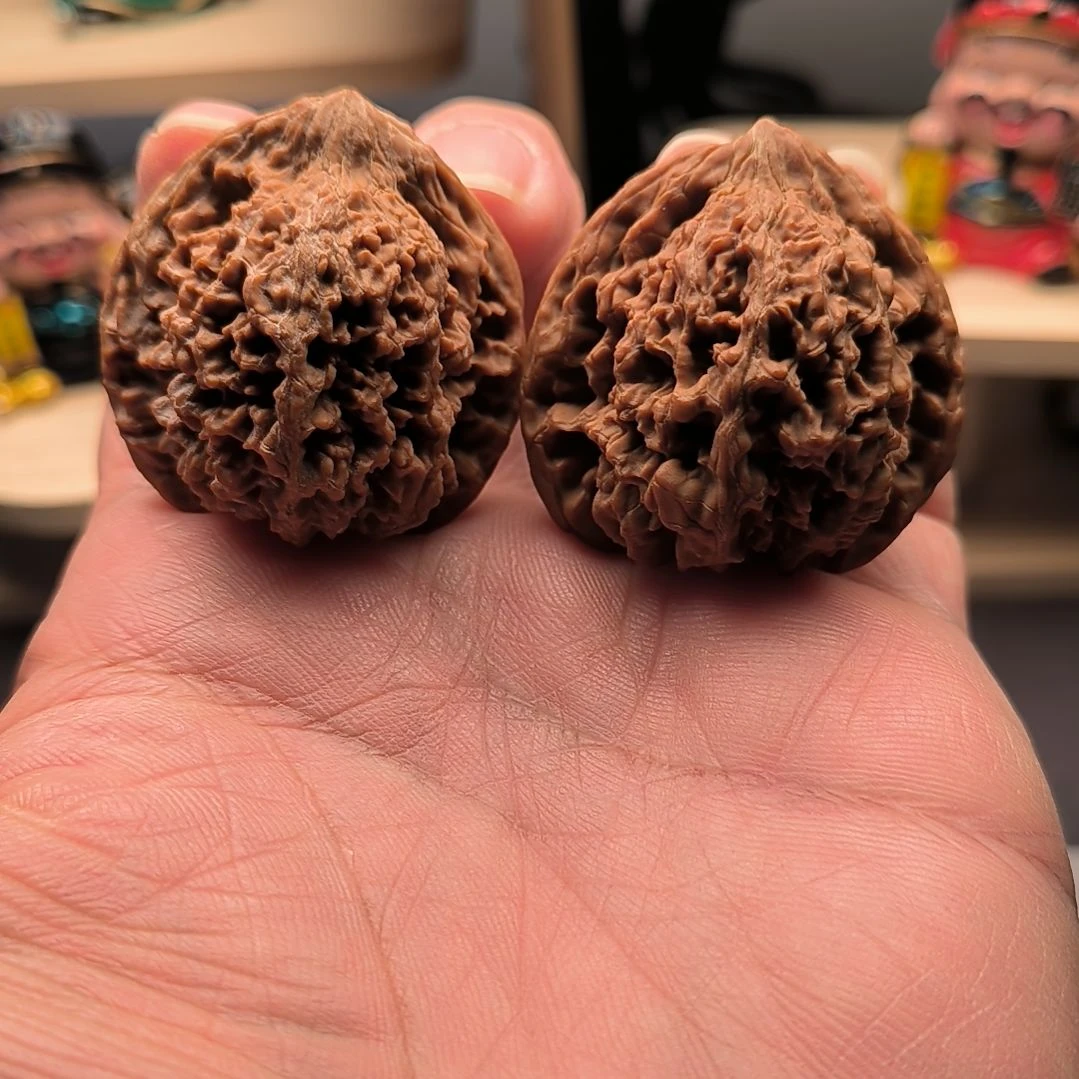 全品原装满天星39尺