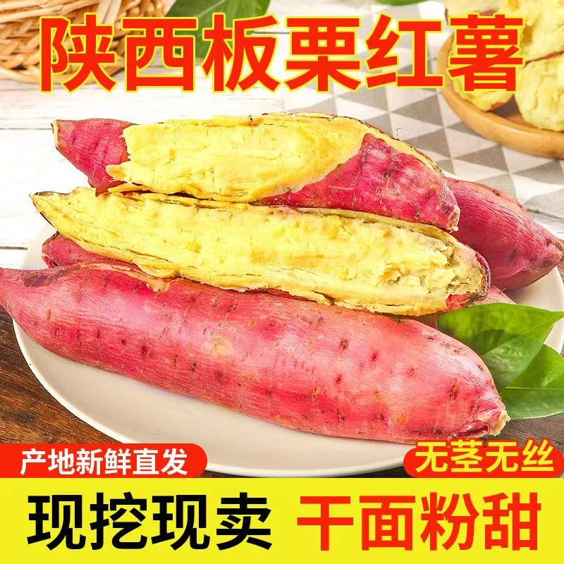 陕西正宗板栗红薯蜜薯粉糯香甜饱满皮薄现挖q