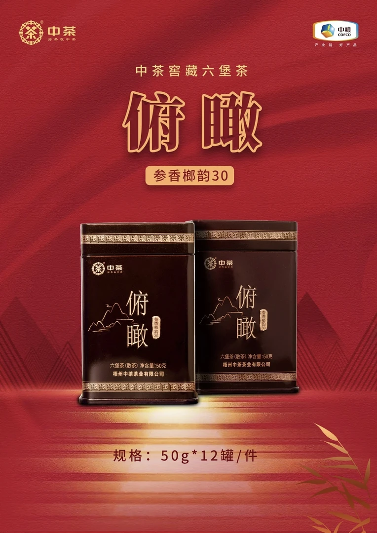 中茶【俯瞰】六堡茶、以一杯醇香丈量山巅气韵