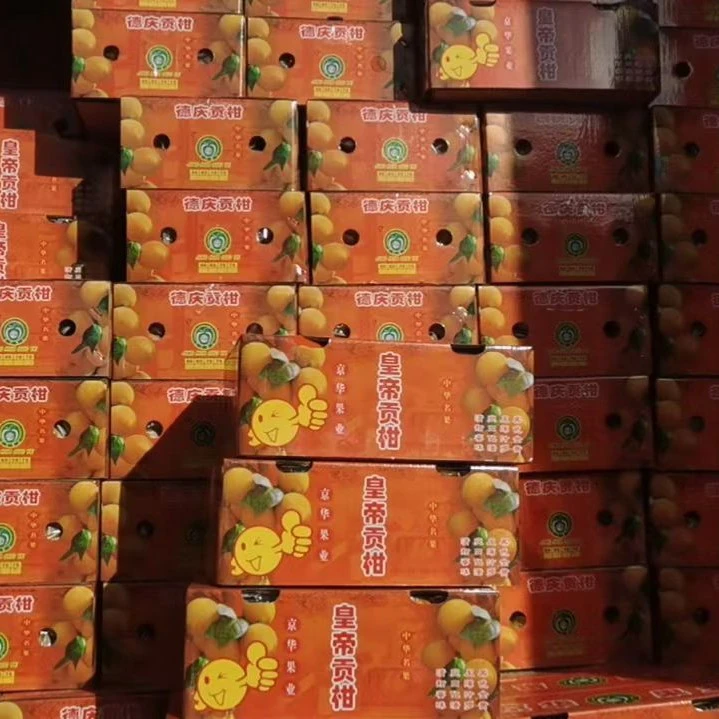 皇帝贡柑/箱2500g(纯甜多汁，果香味浓)云南省