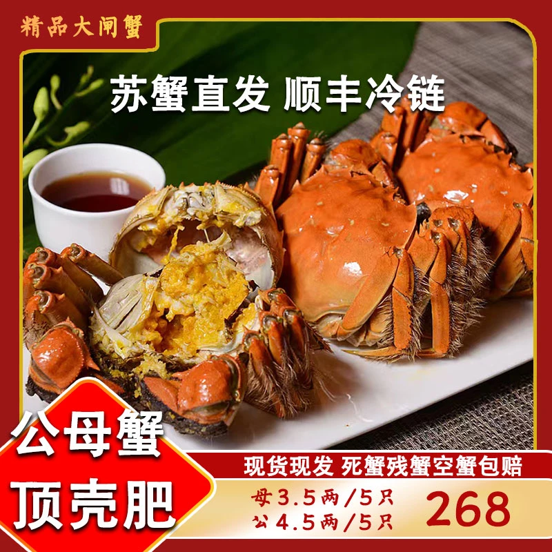 【活蟹】江苏大闸蟹公蟹4.5两/只母蟹3.5两/只（8只送一对到手10只）