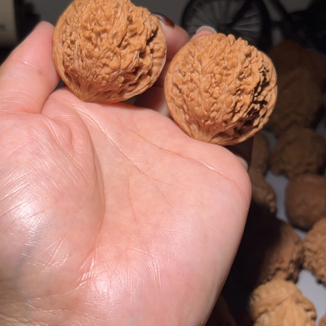 木质类漫天星40全品
