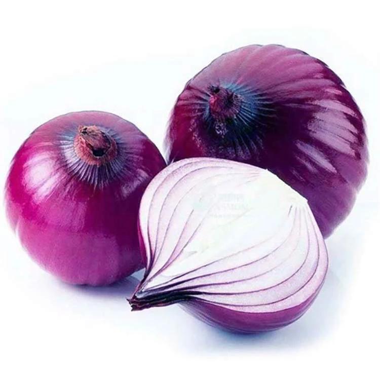 紫洋葱约200-300g【健康蔬菜】