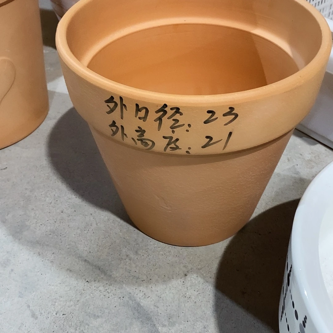 红陶23×21-1