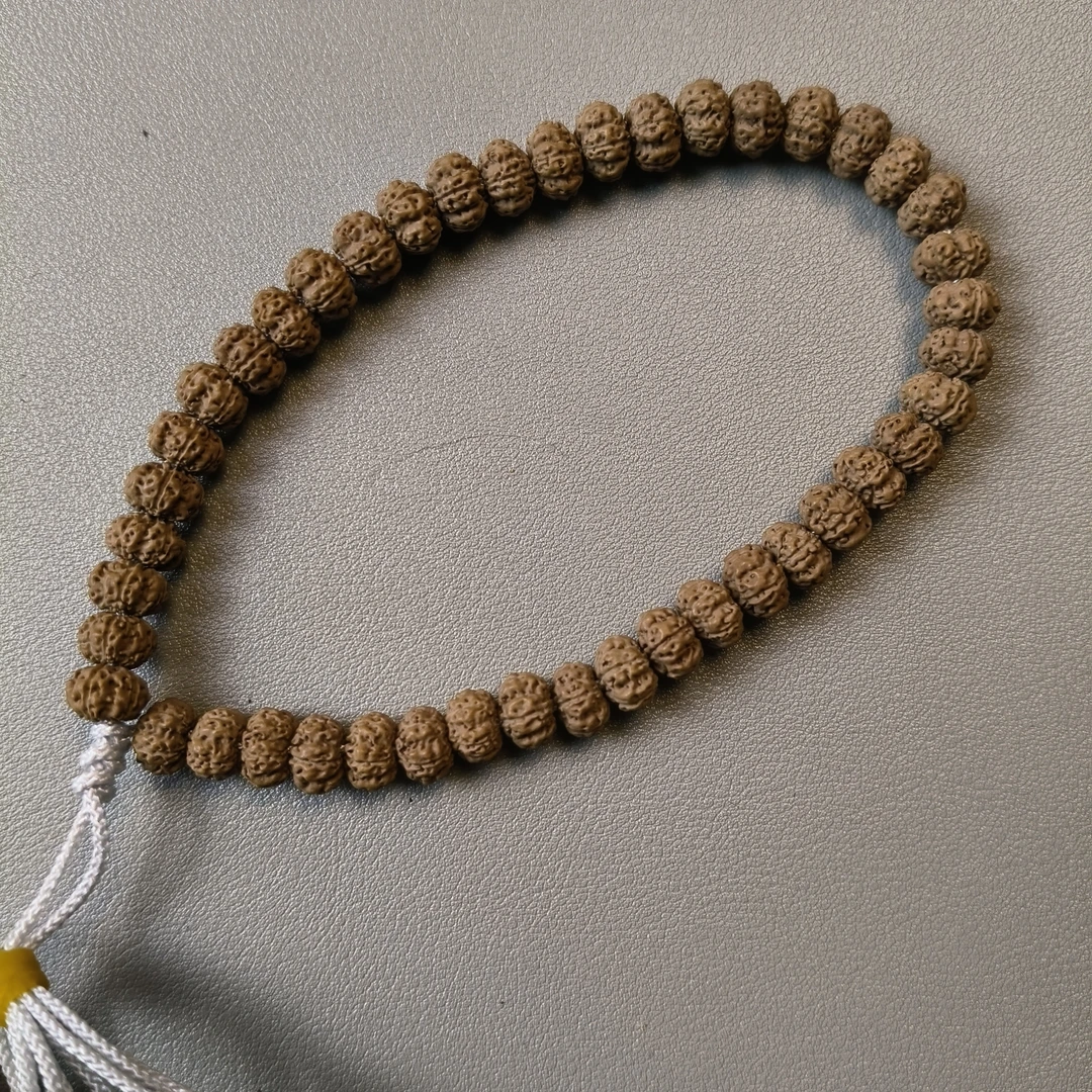 龙脊梅花手持小金刚菩提男女手串