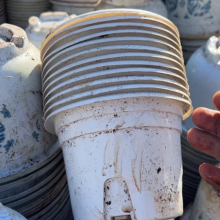 白色圆盆口径15高10发25个