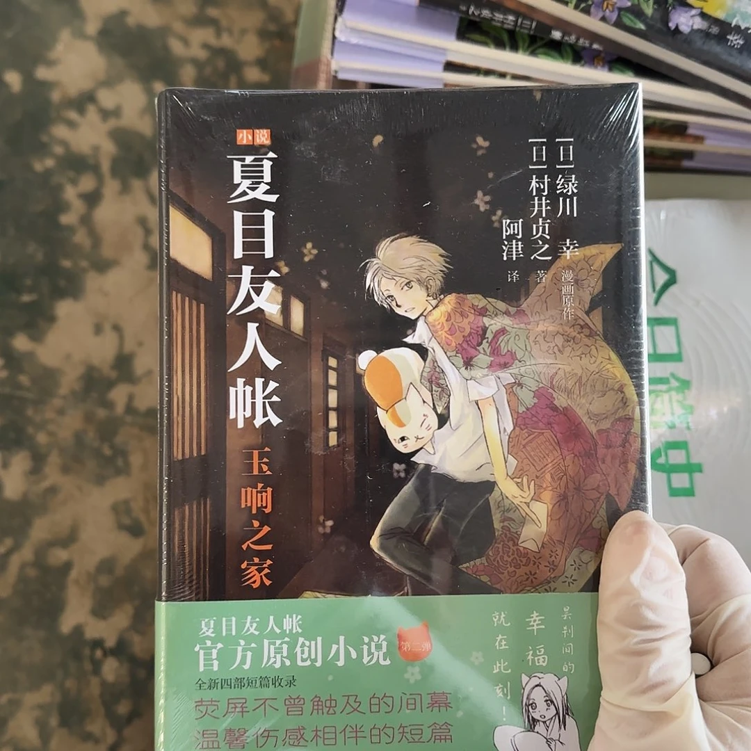 玉想之家闪购精装10