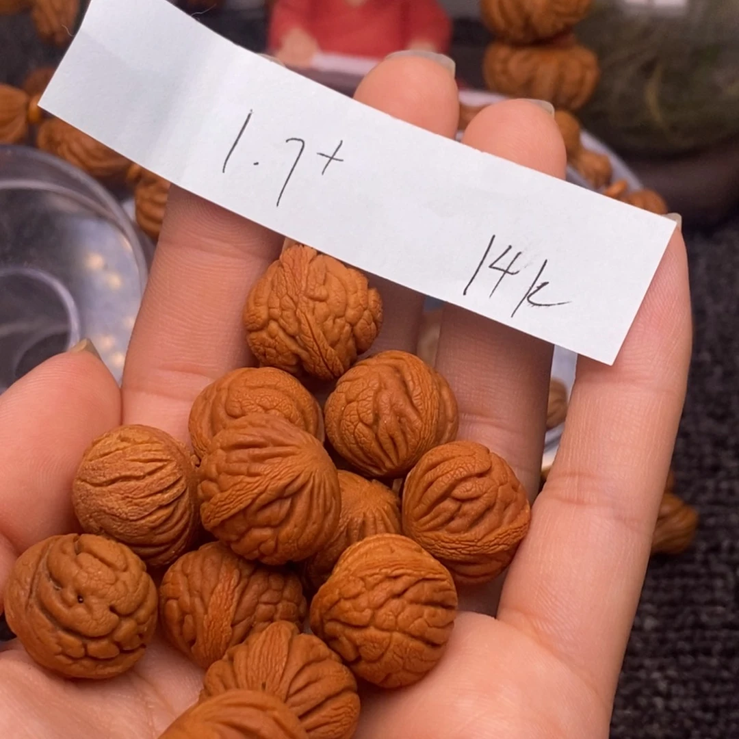 秦岭山脉龙纹桃核
