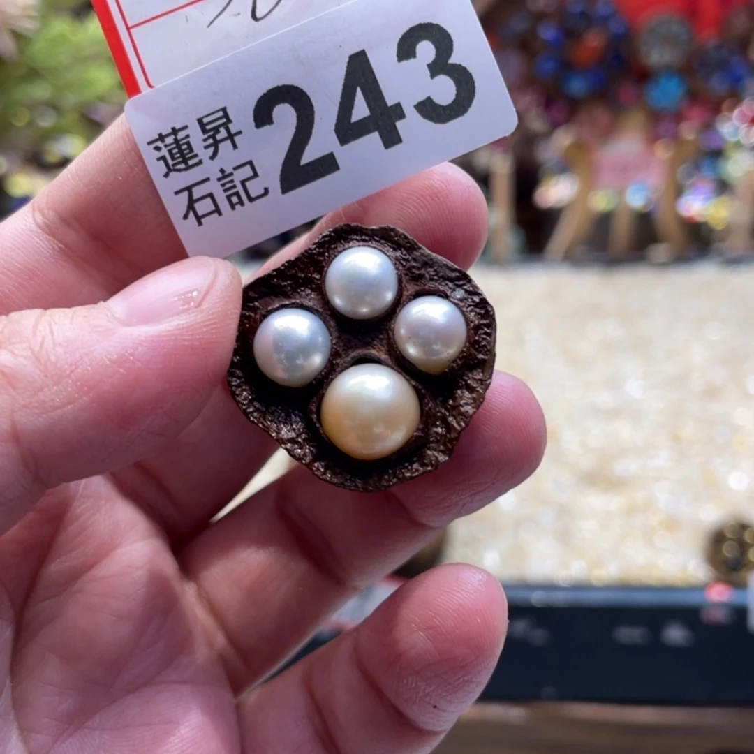 核桃木/黑胡桃（胡桃木）243珍珍