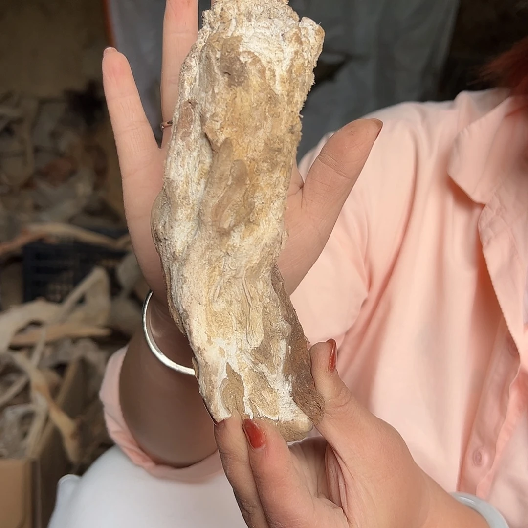 柏***林柏木（崖柏）文玩根雕