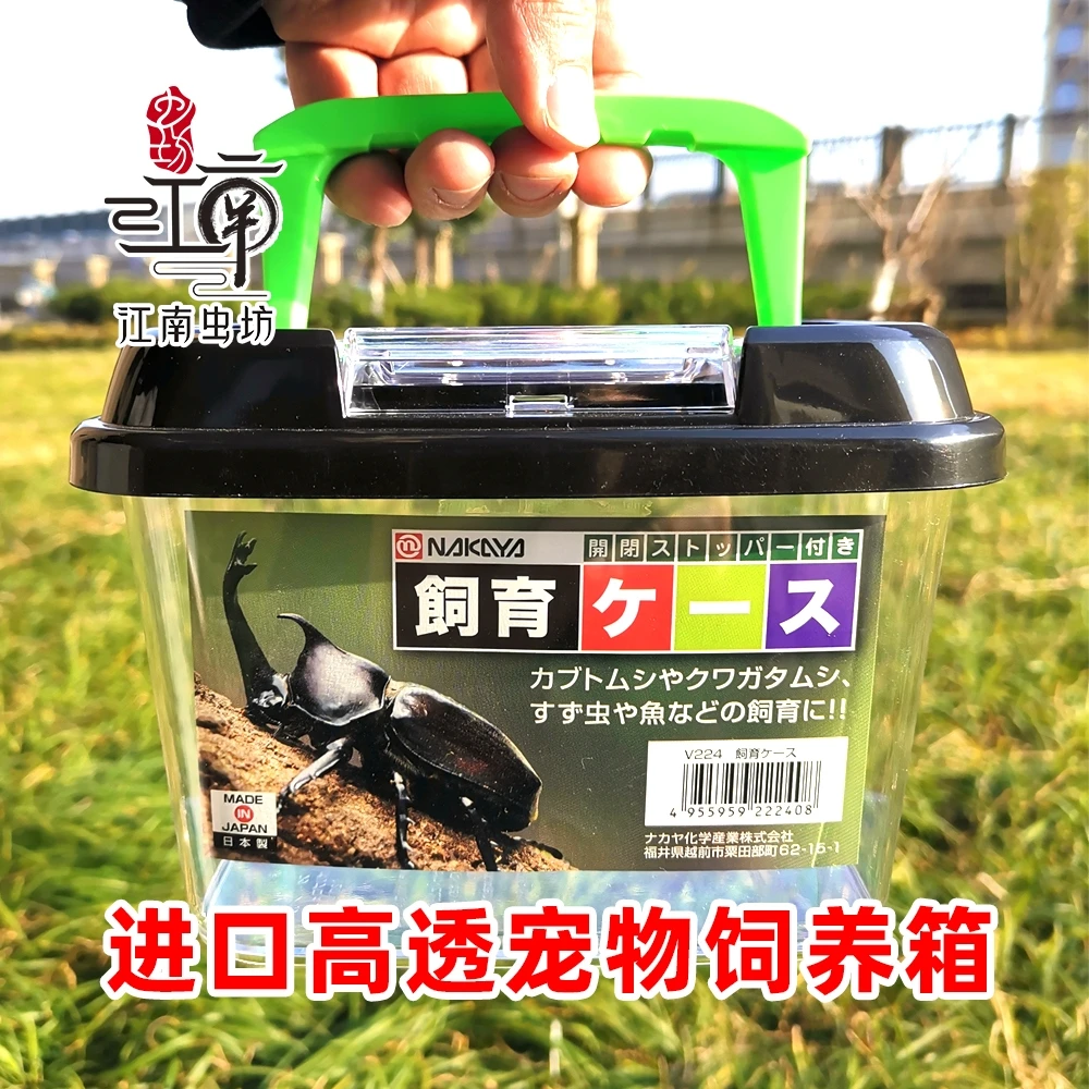 独角仙成虫活体爬宠手提式饲养箱套餐（送独角仙一只）