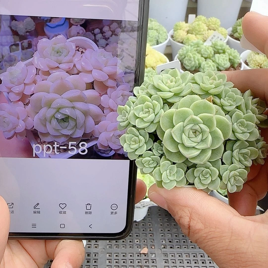 【闪购商品】0927-30（ppt-58）
