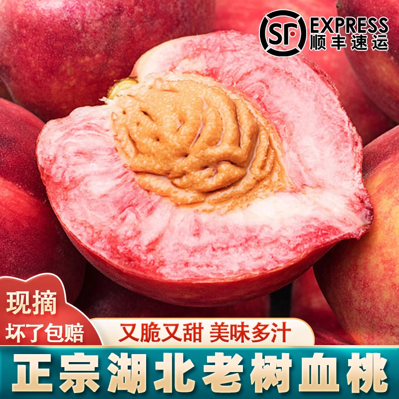 【现摘现发】湖北正宗老树血桃现摘应季当季水果整箱红心桃子胭脂红