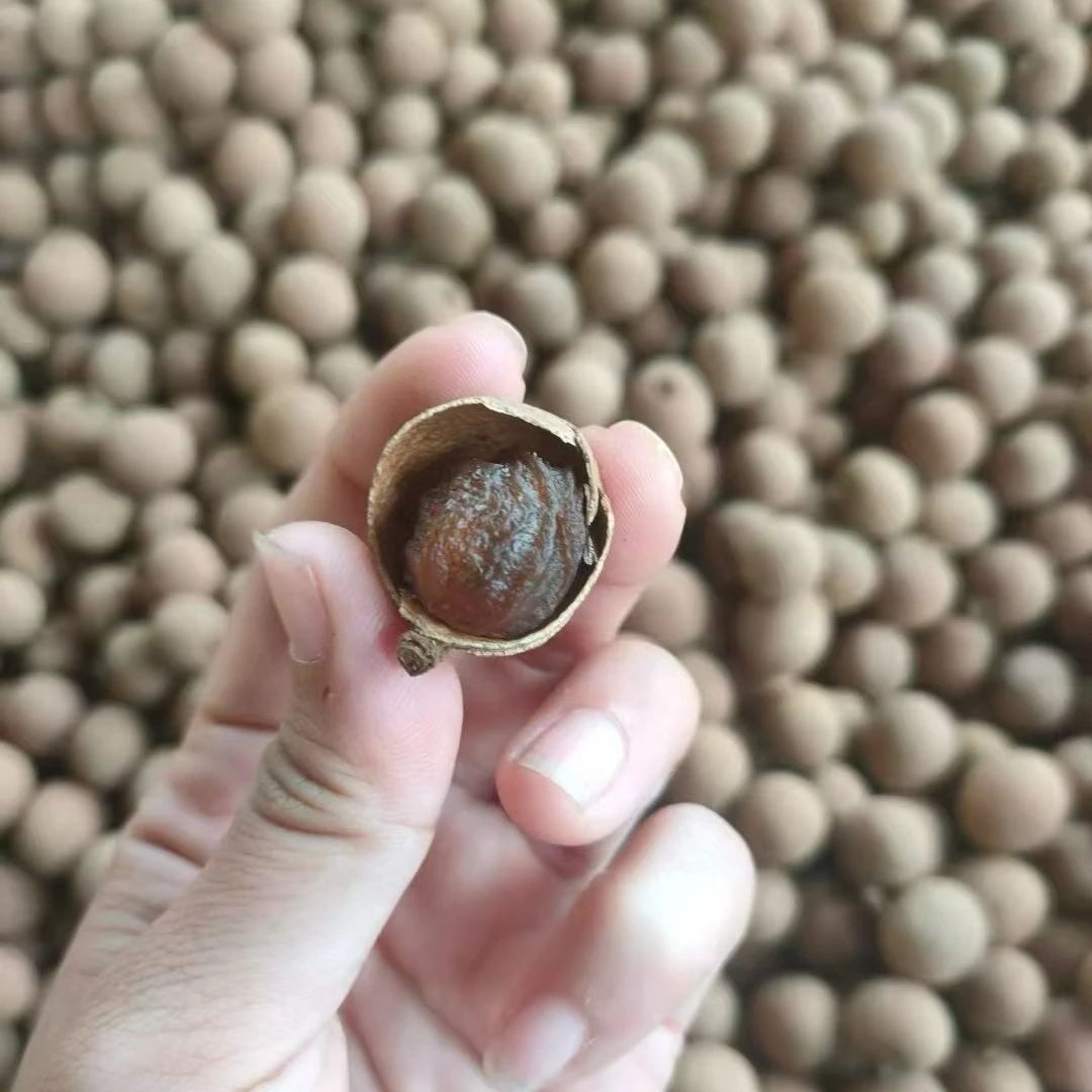 广西桂圆干当季新石夹龙眼小核肉厚可泡水炖汤泡茶