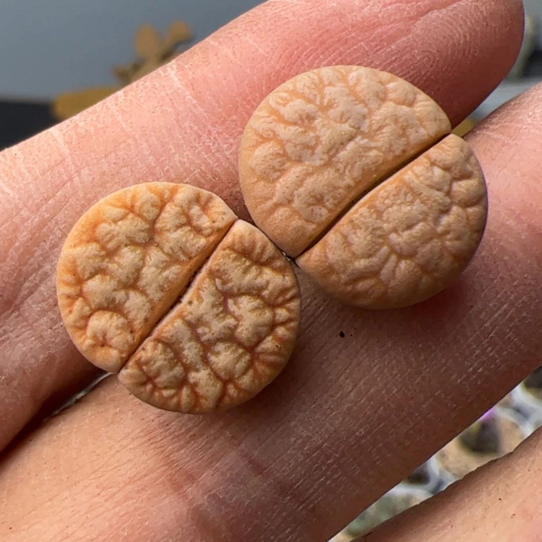 【闪购商品】00000018