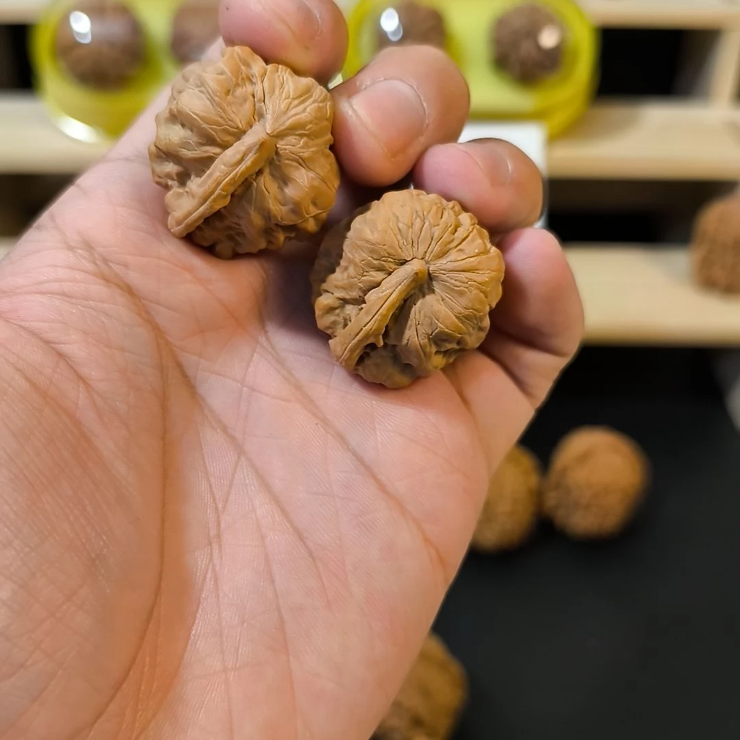 文玩核桃吊坠一帆风顺31+全品
