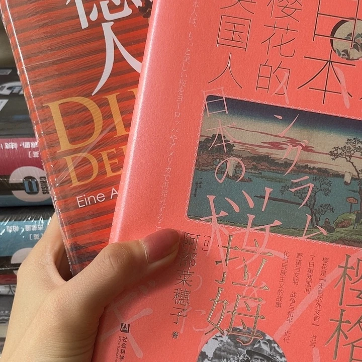 德意志人加英格拉姆：微瑕