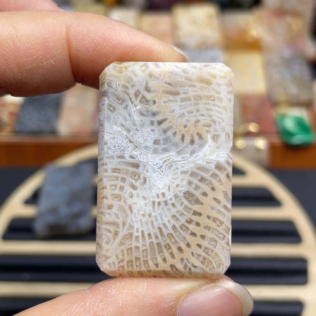 硅化玉未镶嵌颈饰k52