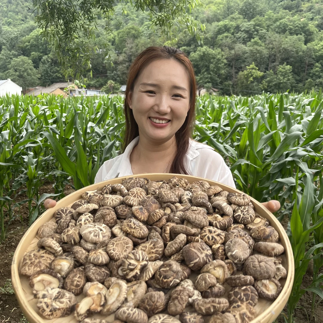 干香菇 精选农家花菇干货小香菇肉厚无根煲汤美味