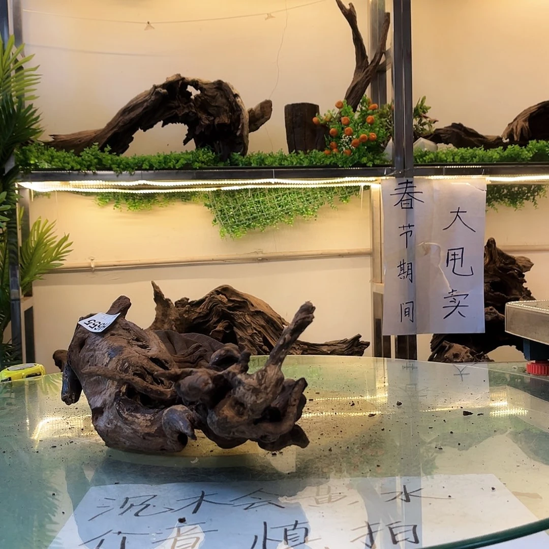 柚木沉木鱼缸造景