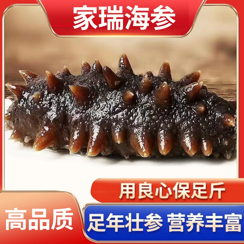 【秋参上市4-20头】蒸食海参大连辽刺参深海即食  大连工厂直发