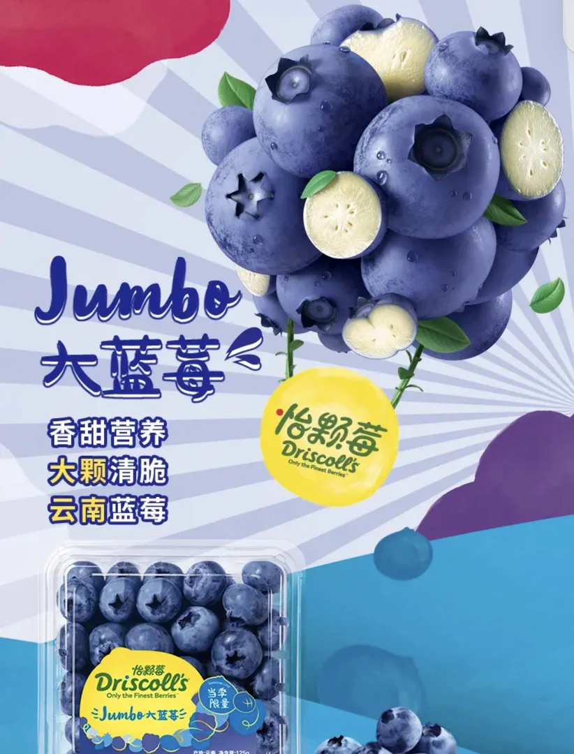 怡颗莓蓝莓12盒（单盒125g）