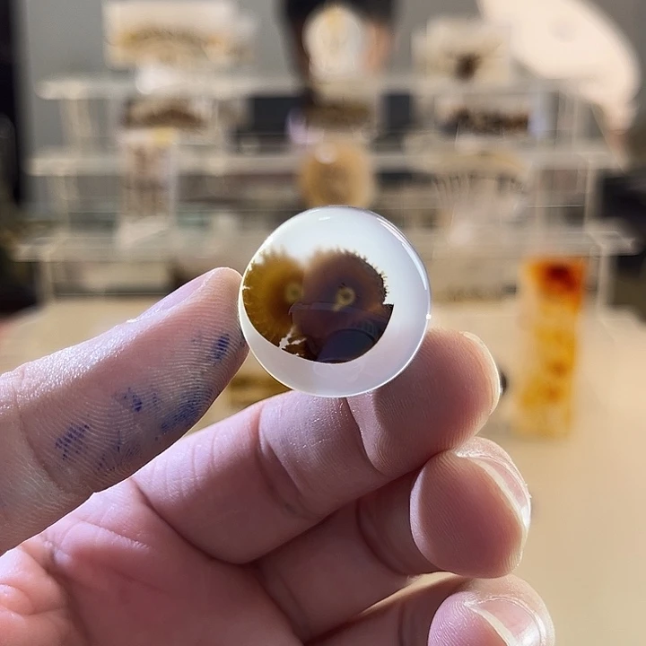 未镶嵌吊坠(不含链)玛瑙/玉髓