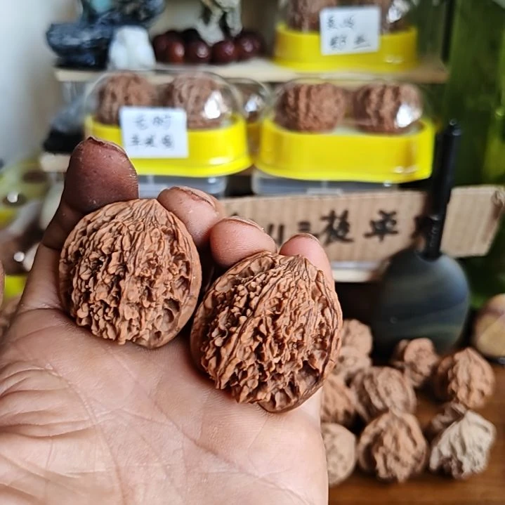 З***.38尺寸满天星红皮狮子头
