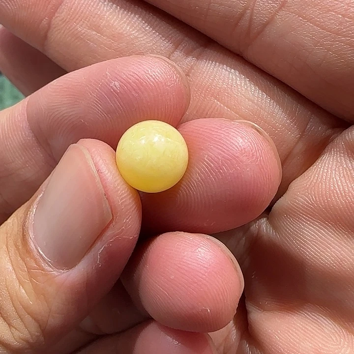 蜜蜡颈饰未镶嵌俄料